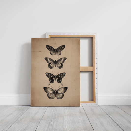 Specimen Study In Soft Light