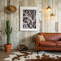 Antlers Tell Tales Of Winter