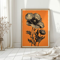 Poppies Cast Their Evening Stories
