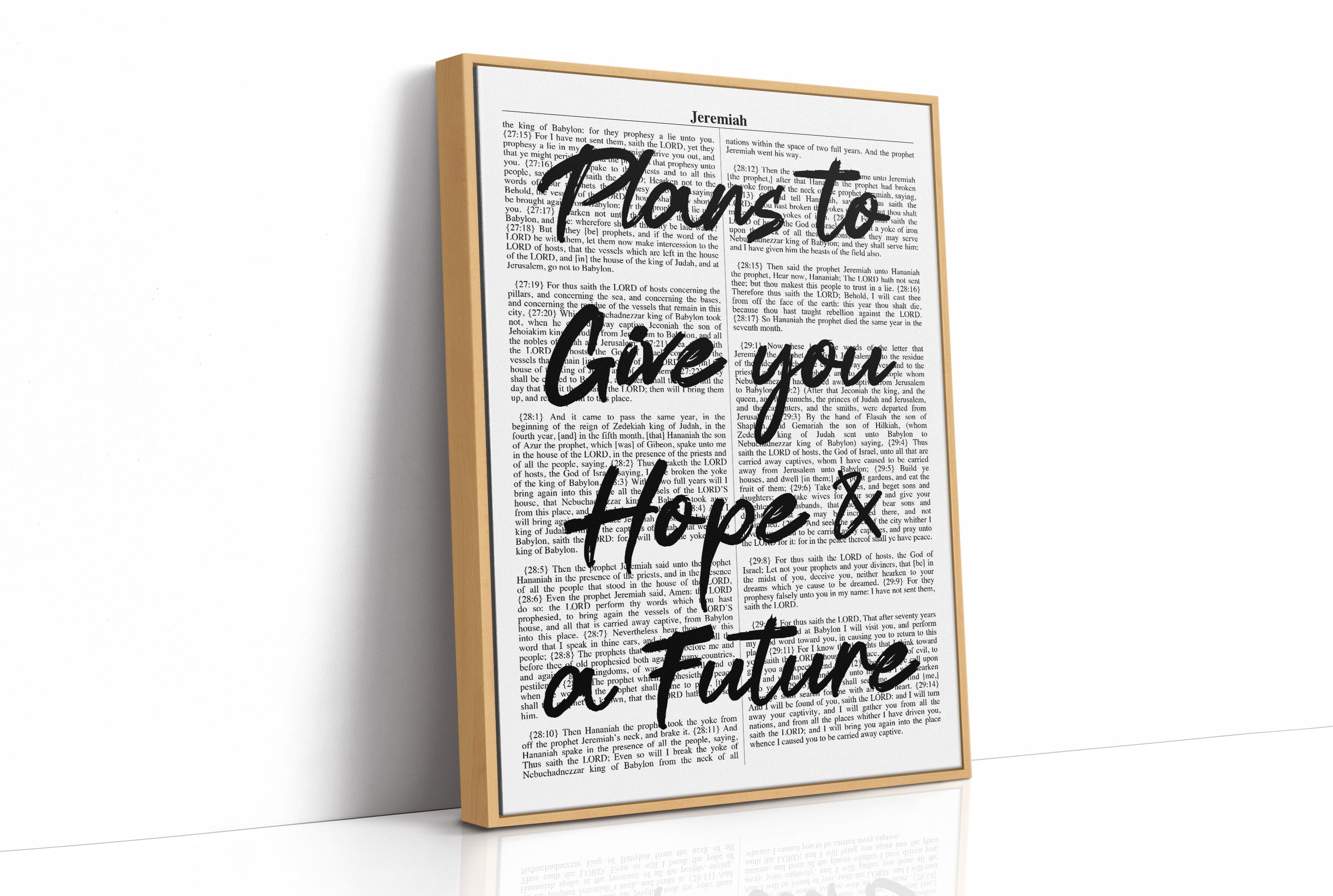 Plans to Give You a Future