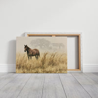 Bay Horse in the Golden Field