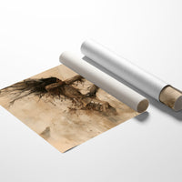 The Draw