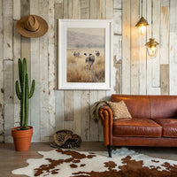 Gentle Tales From Grazing Grounds