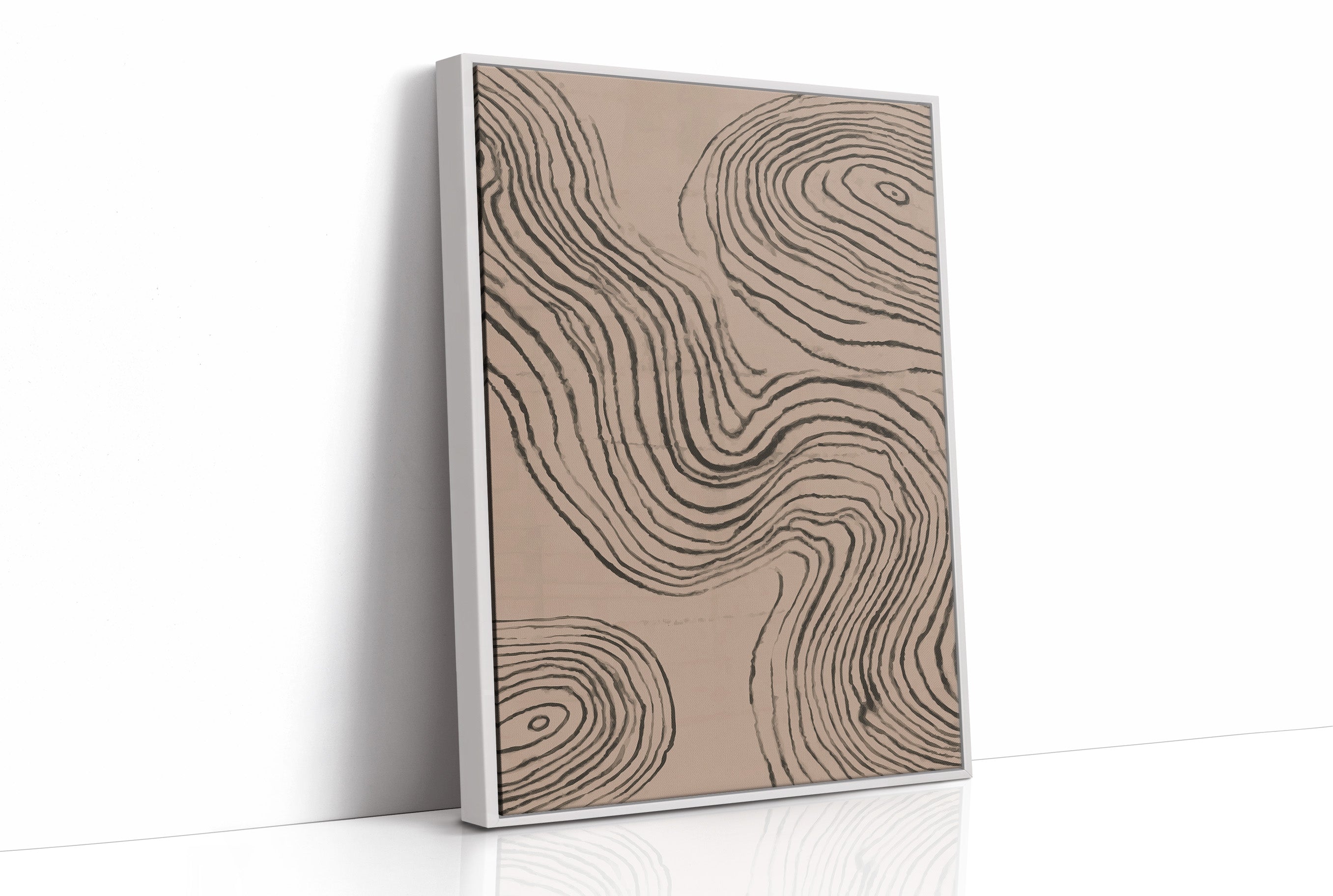 Time Rings Tell Nature's Story