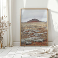 Red Mountain Meets Silver Sage