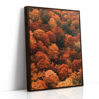 Maximum Maple Volume