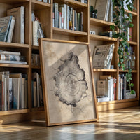 The Heart of Ancient Wood