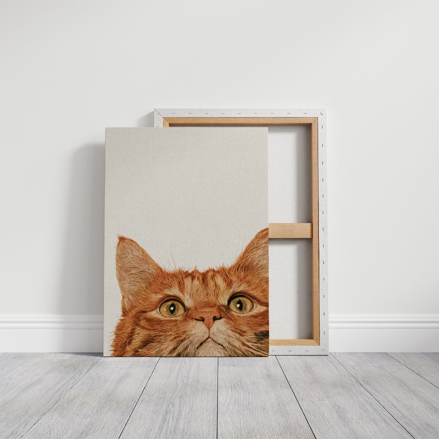 Orange Cat, Full Attention
