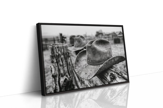 Weathered Hat on the Rail