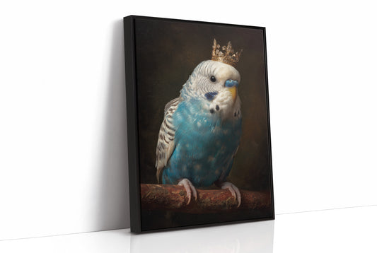 Royal Plumage In Midnight Court