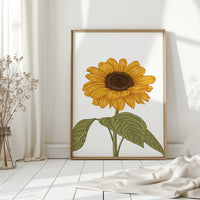 Golden Petals Sing Summer Songs