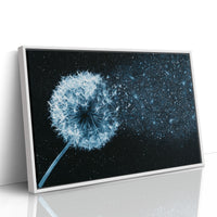 Dandelion Becomes Stardust