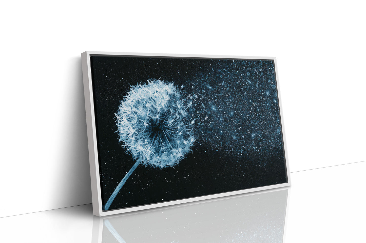 Dandelion Becomes Stardust