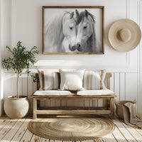 Gentle Souls Share Morning Light