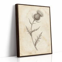 Thistle Study — Vintage Pen and Ink Botanical Print