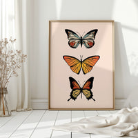 Three Wings Tell Summer Stories