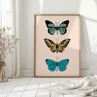 A Dance of Colorful Wings
