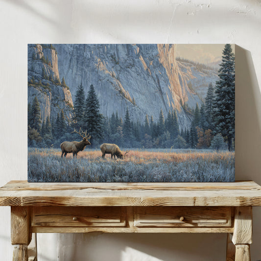 Morning Frost Greets Valley Elk