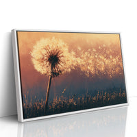 Dandelion Ablaze at Dusk