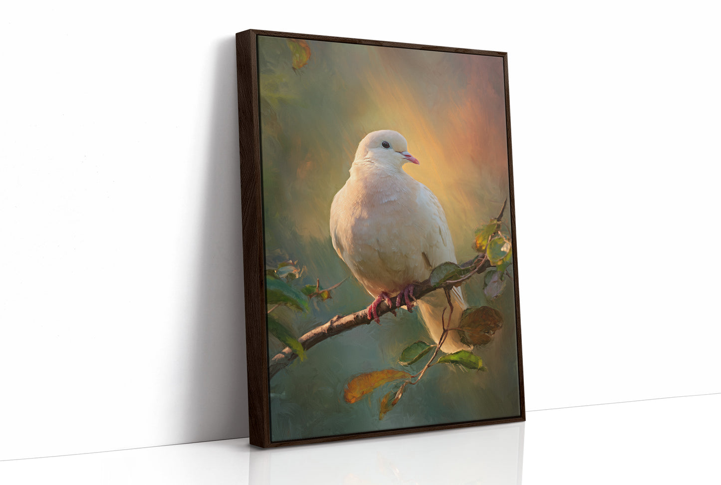 Dove Perches In Golden Hour