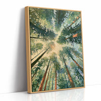 Forest Ceiling, Golden Light