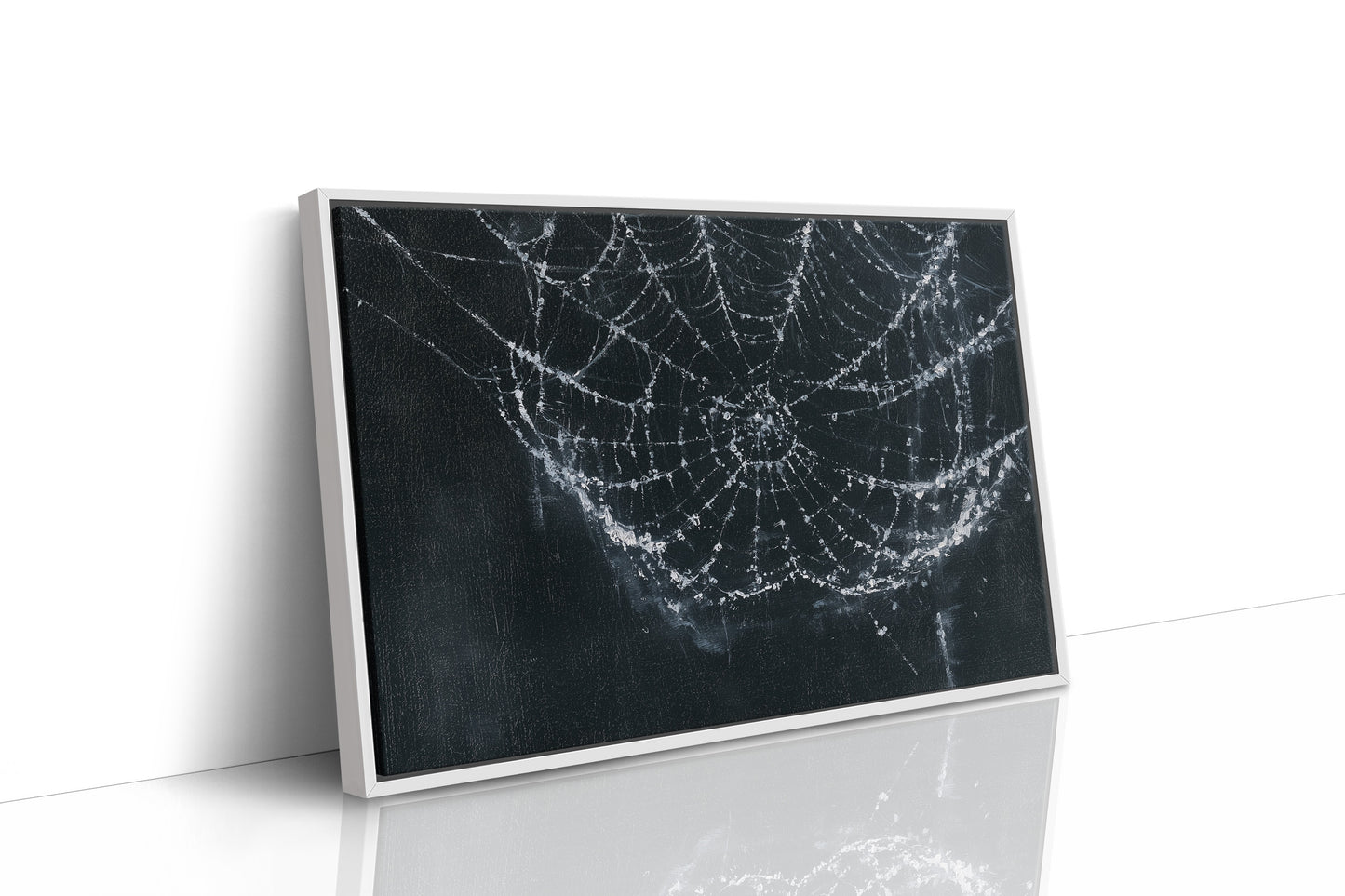 Web in the Shadows