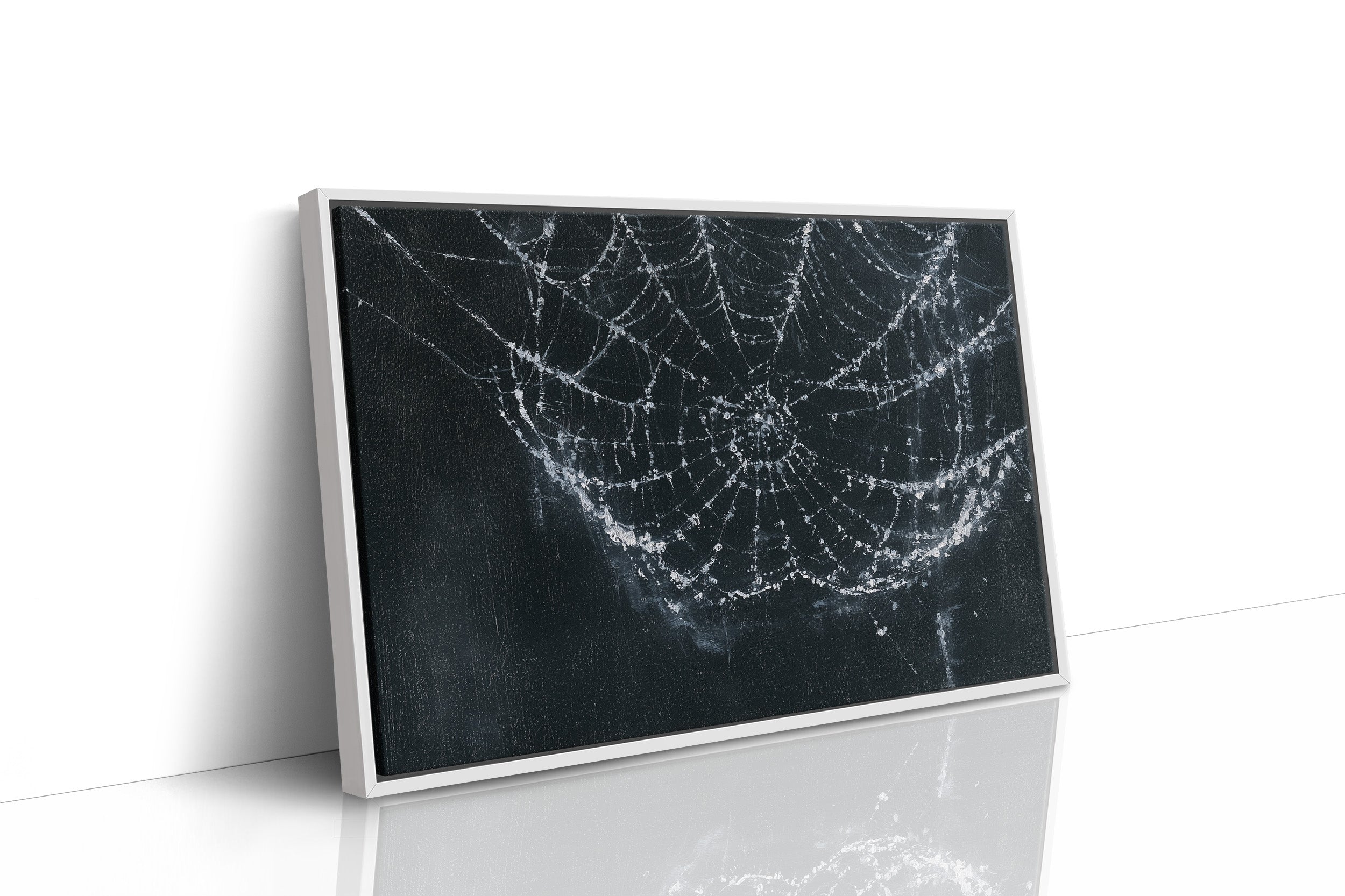 Web in the Shadows