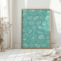 Seashells Draw Maps To Paradise