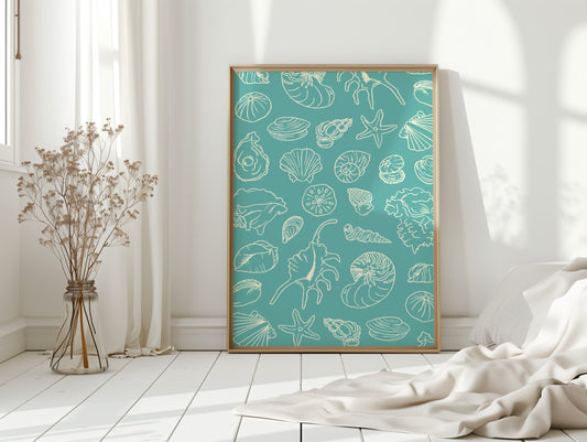 Seashells Draw Maps To Paradise