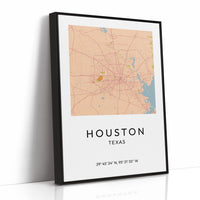 Houston, Mapped in Amber
