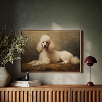 Noble Poodle Rests In Autumn Light