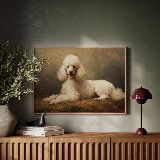 Noble Poodle Rests In Autumn Light