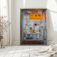 Patient Poodle At Golden Hour