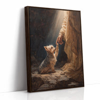 Faithful Companion Reaches For Light
