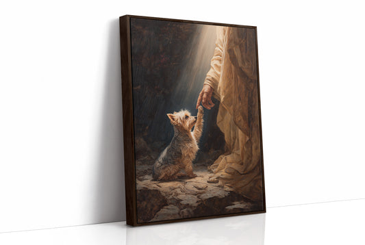 Faithful Companion Reaches For Light