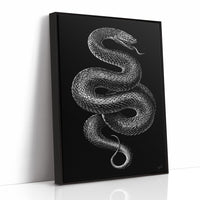 Midnight Scales In Silver Light