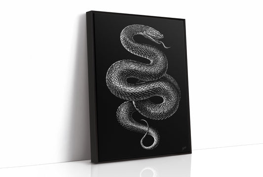 Midnight Scales In Silver Light