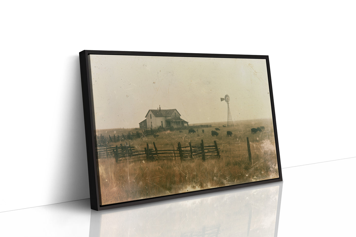 Time Worn Ranchland
