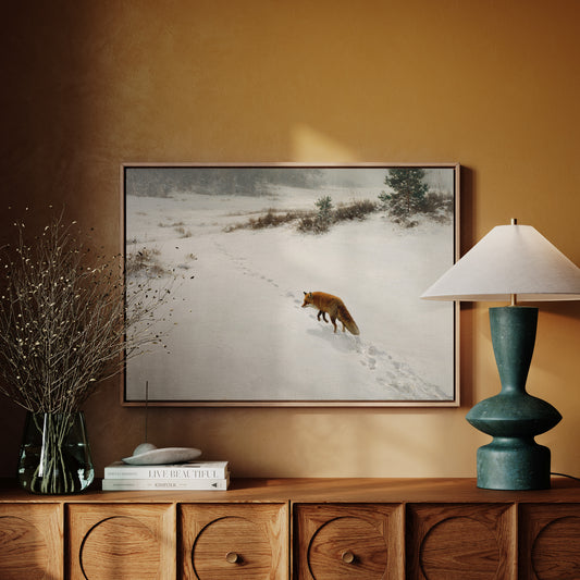 Fox Tracks Through Winter's Canvas