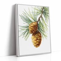 Beneath The Pine's Gentle Embrace