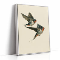 Swift Companions