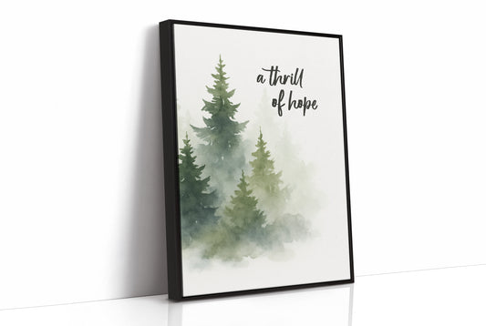 Evergreens Carry Quiet Promises