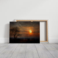 Lone Tree Awaits Amber Dawn