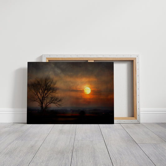 Lone Tree Awaits Amber Dawn