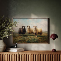 Three Sheep Stand Watch At Dawn