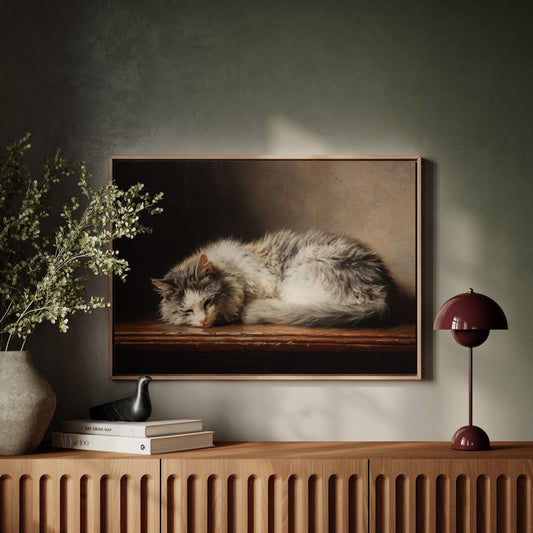 Afternoon Light On Sleeping Grace