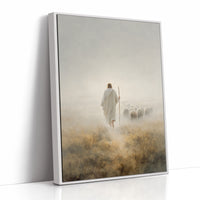 Guiding Light Through Misty Fields
