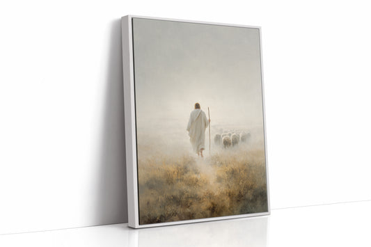 Guiding Light Through Misty Fields