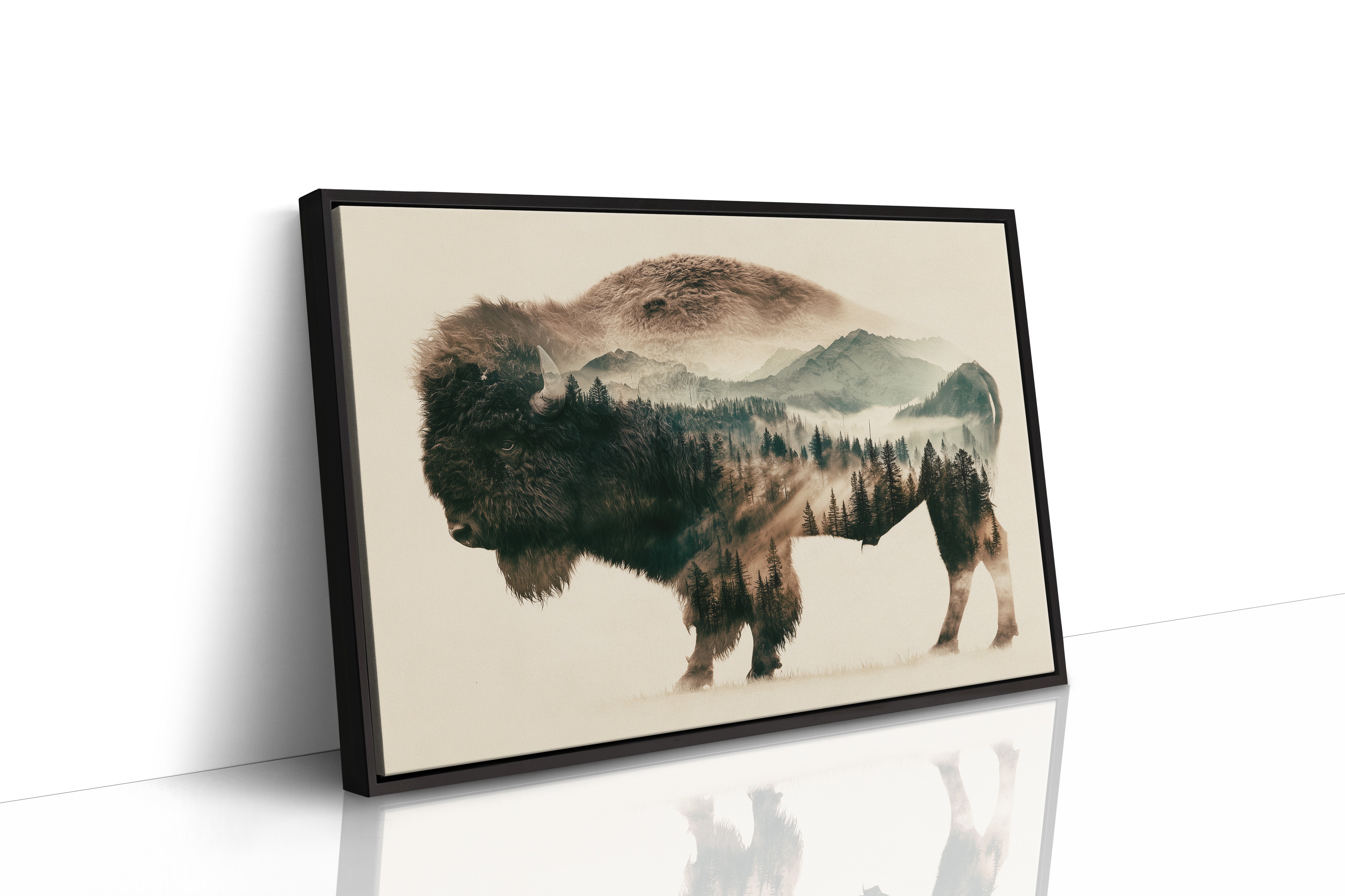 Where the Bison Roams