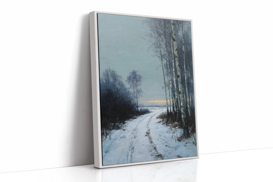 Pathway Through Winter's Embrace